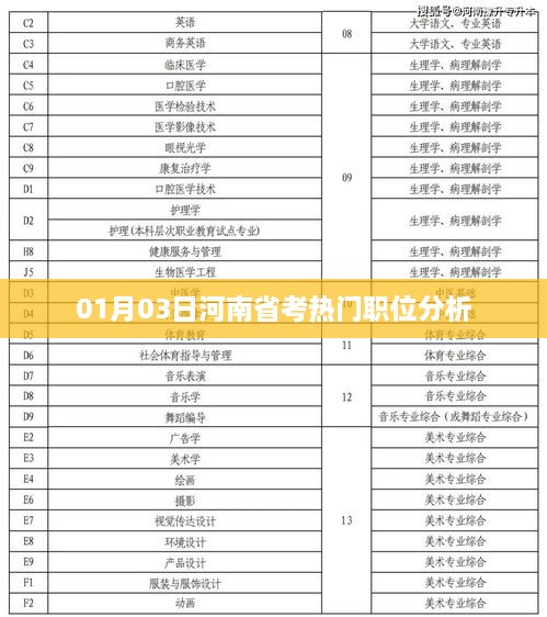 河南省考热门职位解析，01月03日深度分析
