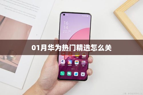 kouruoxuanhe 第2页