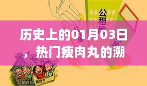 热门瘦肉丸溯源与变迁，历史视角下的01月03日探究