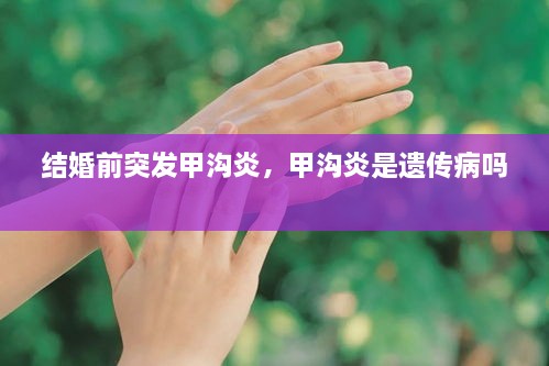 jujinghuishen 第2页