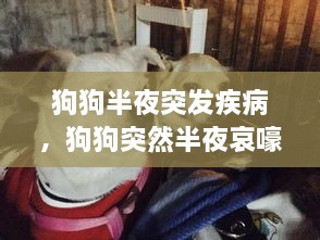 puzhanglangfei 第2页