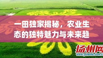 buyierfei 第2页