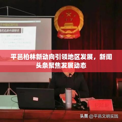 平邑柏林新动向引领地区发展，新闻头条聚焦发展动态