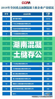湖南混凝土储存公司排行榜及行业影响力揭秘