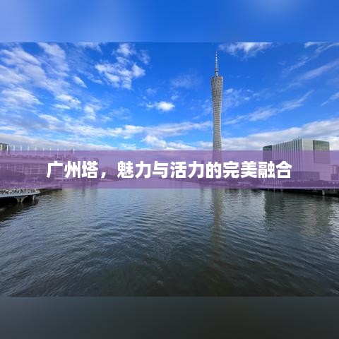 xinhuangyiluan