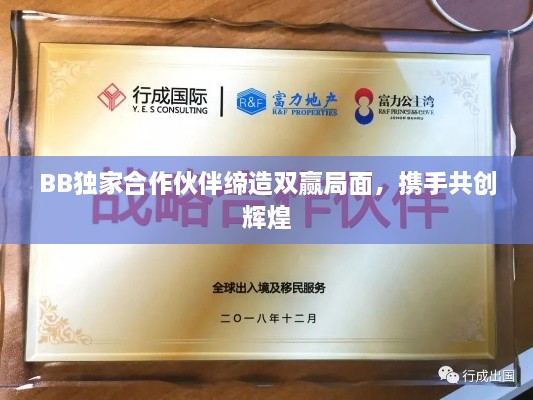 BB独家合作伙伴缔造双赢局面，携手共创辉煌