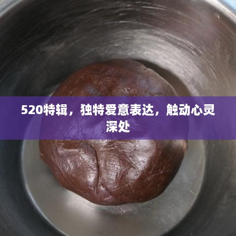 520特辑，独特爱意表达，触动心灵深处
