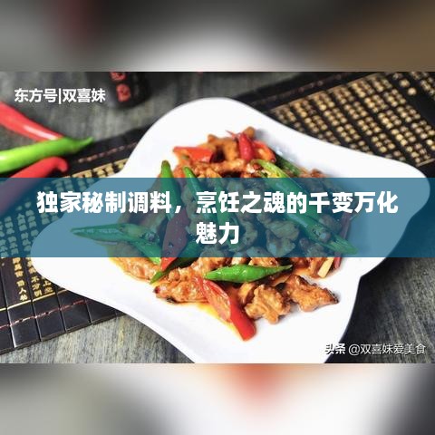 独家秘制调料，烹饪之魂的千变万化魅力