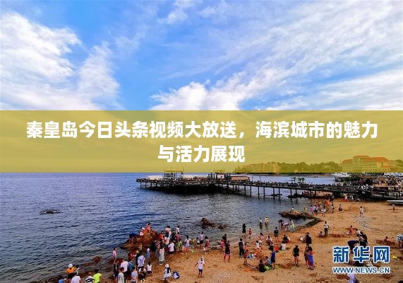 秦皇岛今日头条视频大放送，海滨城市的魅力与活力展现