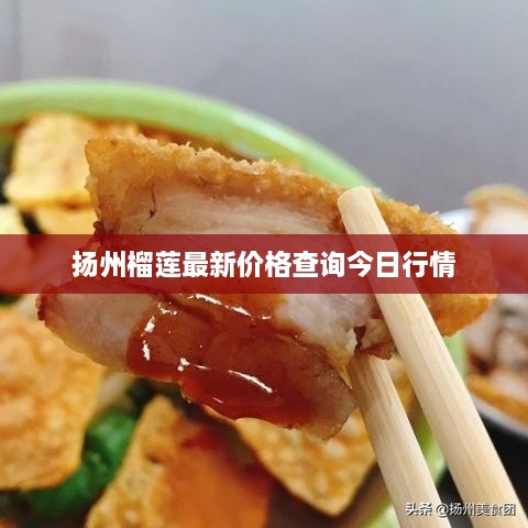 扬州榴莲最新价格查询今日行情