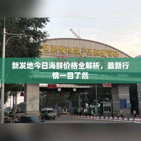 新发地今日海鲜价格全解析，最新行情一目了然