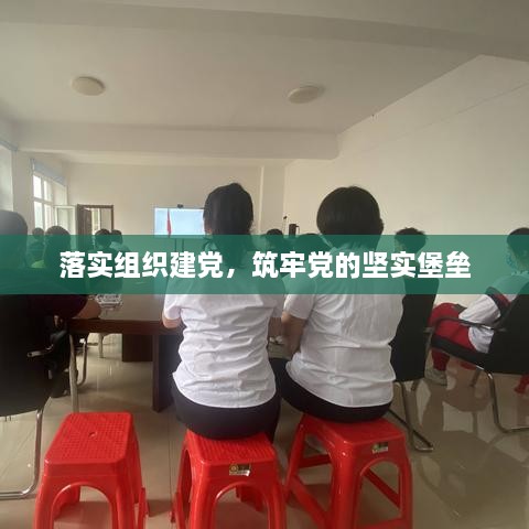 落实组织建党，筑牢党的坚实堡垒
