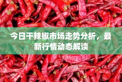 今日干辣椒市场走势分析，最新行情动态解读