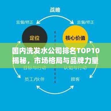 国内洗发水公司排名TOP10揭秘，市场格局与品牌力量对比解析