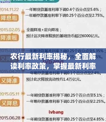 农行最新利率揭秘，全面解读利率政策，掌握最新利率动态！