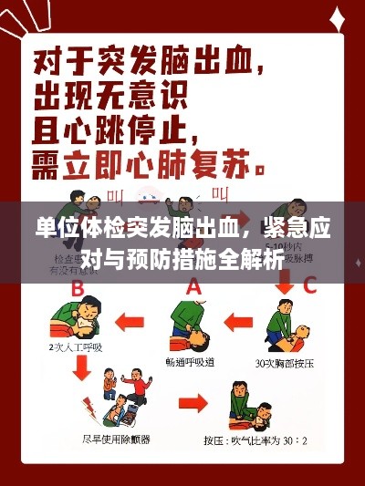 单位体检突发脑出血，紧急应对与预防措施全解析